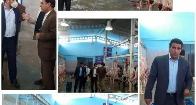 بازدید رئیس شورای شهر اسلام آبادغرب از کشتارگاه شهرداری و تقدیر از عملکرد شهردار شهرستان