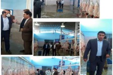 ارزیابی مطلوب وضعیت کشتارگاه دام اسلام آبادغرب