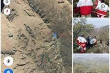 چیدن گیاهان خوراکی بهاری حادثه آفرید