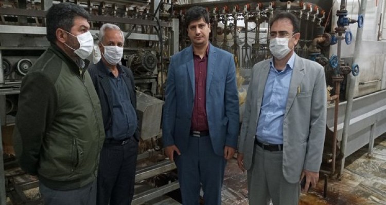 بازدید مسئولین شهرستان از کشتارگاه مرغ پرطلایی اسلام آبادغرب+تصاویر