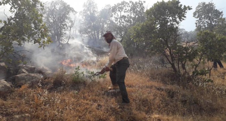 مهار آتش سوزی جنگل و مراتع روستای ارکوازی
