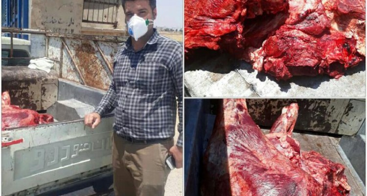 کشف ‌و ضبط‌ ۱۴۰‌ کیلوگرم‌ گوشت ‌‌قرمز‌ غیر ‌بهداشتی‌‌ در شهرستان‌ اسلام‌‌ آباد غرب