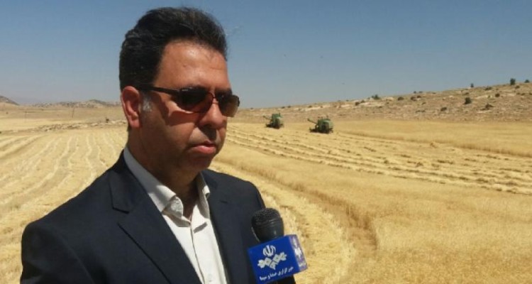 خرید تضمینی ۶۲ هزار تن گندم از کشاورزان شهرستان اسلام آبادغرب تا کنون