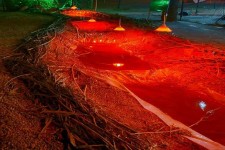 نمایشگاه از مدینه تا شام  ویژه دهه محرم در اسلام آبادغرب+تصاویر