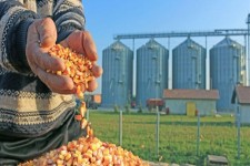 شکستن انحصار واردات؛ مطالبه ای که صدای مجلس را هم درآورد/ سناریوی دست و دلبازی دولت برای سلاطین و آقایان خاص تمامی ندارد