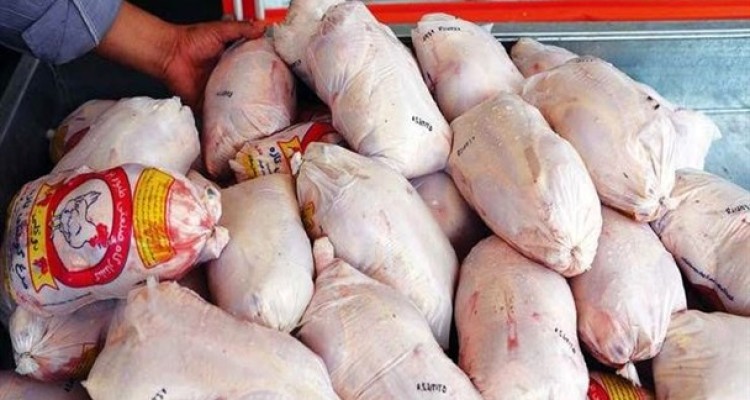 ورود مجلس به مسئله گرانی مرغ/ علت افزایش قیمت مرغ بی برنامگی است