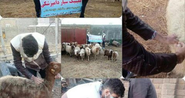 اعزام کلینیک سیار دامپزشکی بسیج مهندسین کشاورزی اسلام آبادغرب به روستاهای شهرستان