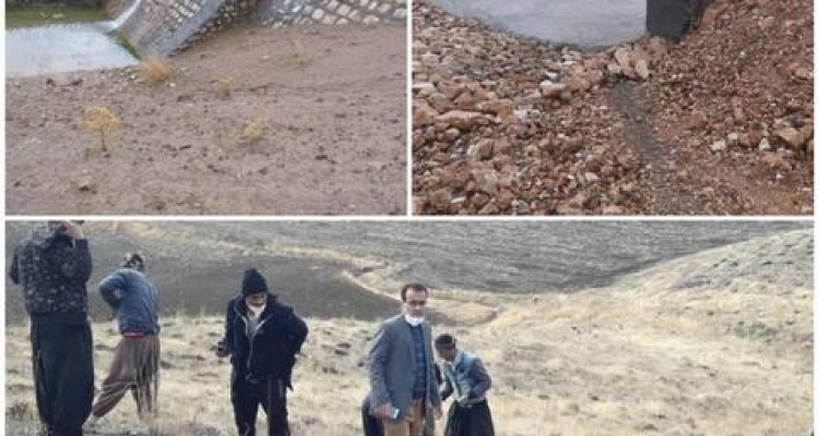 مشارکت خوب مردم در حفاظت و مراقبت از ۱۴۰هزار هکتار اراضی ملی اسلام آبادغرب