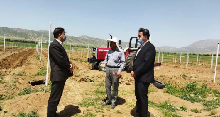 بازدید از پروژهای  اجرا شده و درحال اجرای بخش کشاورزی در شهرستان اسلام آبادغرب
