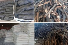 درخواست اشد مجازات برای نابودگران جنگل های بلوط در اسلام آبادغرب