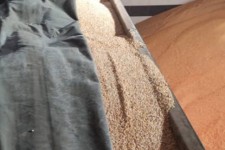 کشف محموله بزرگ قاچاق ذرت توسط پاسداران گمنام امام زمان (عج) در سازمان اطلاعات سپاه