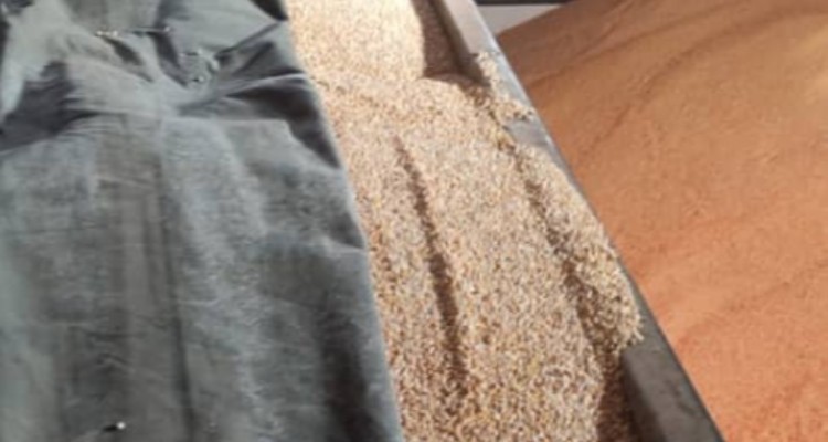 کشف محموله بزرگ قاچاق ذرت توسط پاسداران گمنام امام زمان (عج) در سازمان اطلاعات سپاه