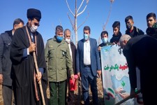 پویش مردمی "کاشت نهال به یاد شهدا" در اسلام آبادغرب برگزار شد+تصاویر