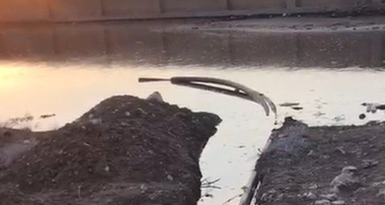 پیگیری رفع آلودگی پسآب کارخانه خمیرمایه اسلام آبادغرب+فیلم