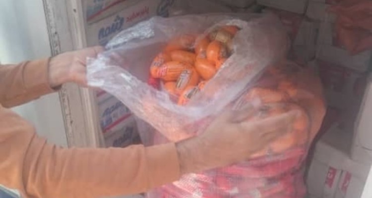 کشف بیش از ۱۵۰۰ کیلو انواع موادغذایی فاسد و تاریخ مصرف گذشته در اسلام آبادغرب