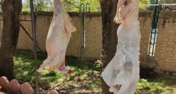ذبح 5 راس گوسفند و توزیع آن در بین خانواده های ایتام اسلام آبادغرب