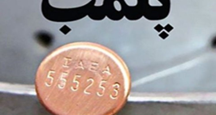 پلمب ۱۶ واحد قصابی غیر مجاز و متخلف بهداشتی در شهرستان اسلام آبادغرب