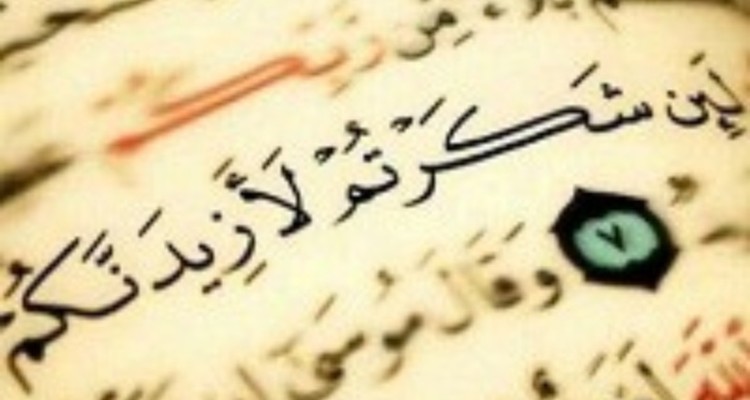 قدرشناسی ، ناسپاسی و نمک نشناسی