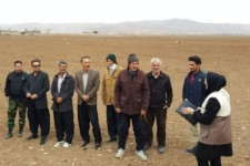 ترویج کشت قراردادی توسط بسیج مهندسین کشاورزی اسلام آبادغرب