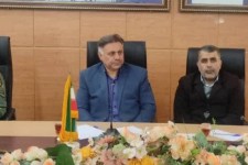 تولید 50 هزار اصله نهال در نهالستان اداره منا بع طبیعی اسلام‌آبادغرب