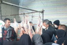 توزیع بیش از ۲۵ تن مرغ و گوشت تنظیم بازار در شهرستان اسلام‌آبادغرب