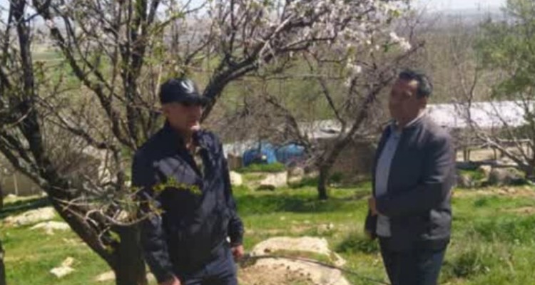 خسارت بیش از ۱۱۵۱ میلیارد تومانی سرمازدگی به مزارع و باغ‌های اسلام‌آبادغرب