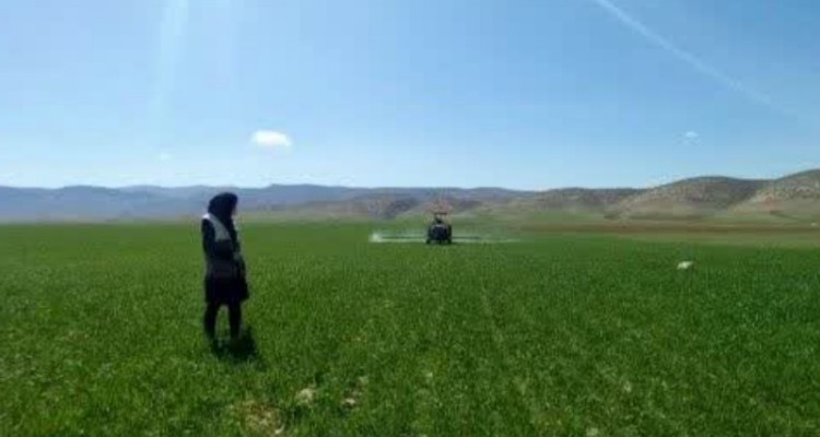 برگزاری کلاس آموزشی و ارائه مشاوره های ترویجی جهت کشاورزان اسلام‌آبادغرب