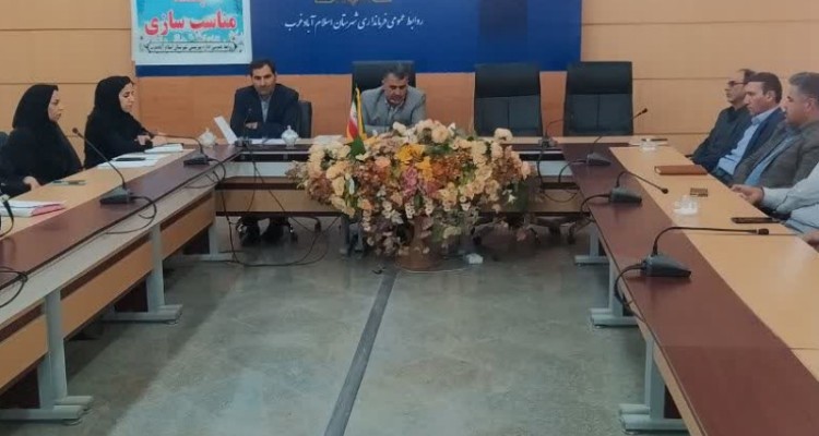 پیگیری مناسب سازی ادارات و معابر شهر اسلام‌آبادغرب در راستای رفاه حال معلولین