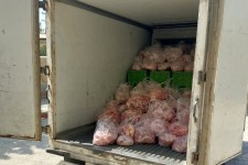 امحای ۸۰۰ کیلوگرم گوشت مرغ منجمد بدون هویت در اسلام‌آبادغرب