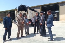 خدمات گسترده مردم و ادارات شهر حمیل به زوار اربعین