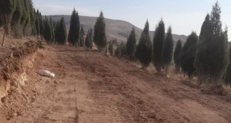 زمین‌خواری در شرکت کاشی کاژه رخ نداده است