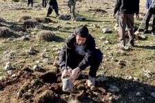 آغاز پویش مردمی کاشت نهال در اسلام‌آبادغرب