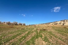 خلع ید 12 هکتار از منابع ملی اسلام‌آبادغرب