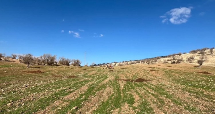 خلع ید 12 هکتار از منابع ملی اسلام‌آبادغرب