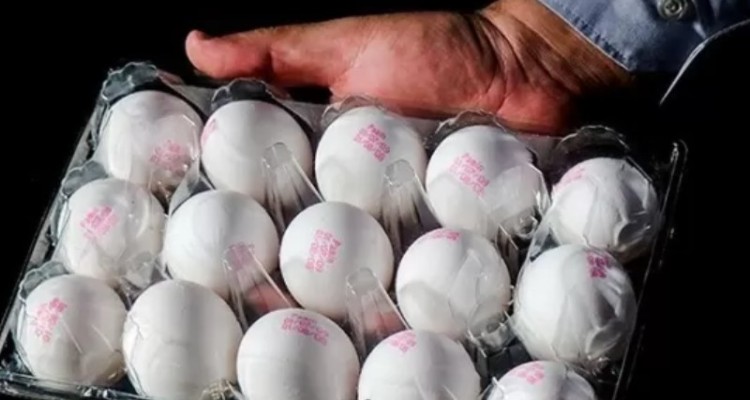 قیمت تخم‌مرغ بسته‌بندی‌شده اعلام شد