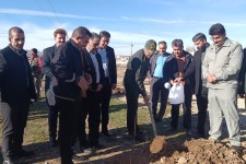 کاشت بیش از ۸ هزار نهال به یاد سردار دل‌ها در اسلام‌ آبادغرب