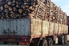 توقيف محموله چوب قاچاق در اسلام آبادغرب