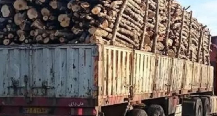 توقيف محموله چوب قاچاق در اسلام آبادغرب