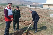 کاشت بیش از ۸ هزار نهال به یاد سردار دل‌ها در اسلام‌ آبادغرب