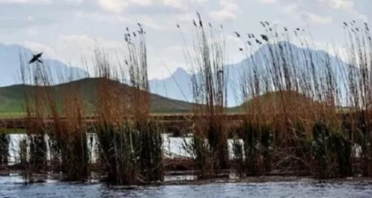 سرریز شدن آب از تالاب هشیلان کرمانشاه