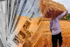 پرداخت طلب گندم‌کاران منوط به درآمدهای پایدار دولت شود/ چهار فاکتور تعیین قیمت خرید تضمینی گندم