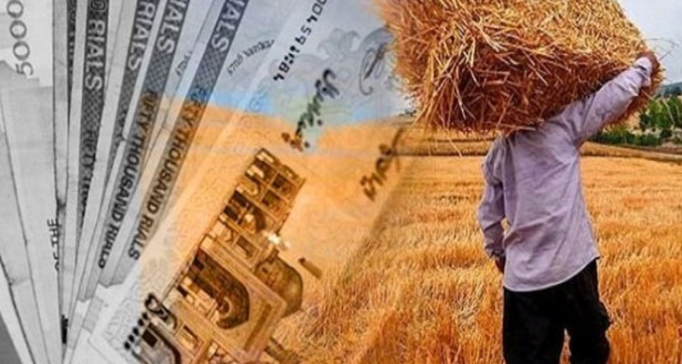 پرداخت طلب گندم‌کاران منوط به درآمدهای پایدار دولت شود/ چهار فاکتور تعیین قیمت خرید تضمینی گندم
