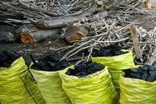 قاچاق زغال؛ چالش زیست‌محیطی اسلام‌آبادغرب