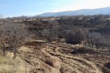 بازپس‌گیری ۱۵ هکتار از اراضی ملی تصرف‌شده در اسلام‌آبادغرب