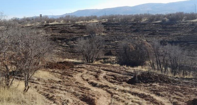 بازپس‌گیری ۱۵ هکتار از اراضی ملی تصرف‌شده در اسلام‌آبادغرب