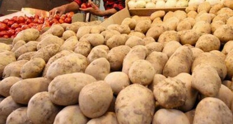 گرانی سیب‌ زمینی و گوجه‌فرنگی؛ تکرار سوءمدیریت و نبود برنامه‌ریزی