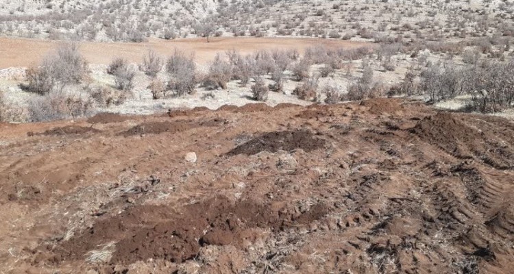 خلع ید عملی ۴ هزار متر از اراضی ملی تصرف‌شده در اسلام‌آبادغرب