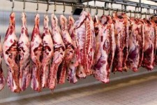 فعالیت ۳۰ کارخانه خوراک دام در کرمانشاه