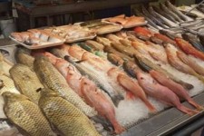 کرمانشاه درصدد افزایش ارزش‌افزوده محصولات آبزی است