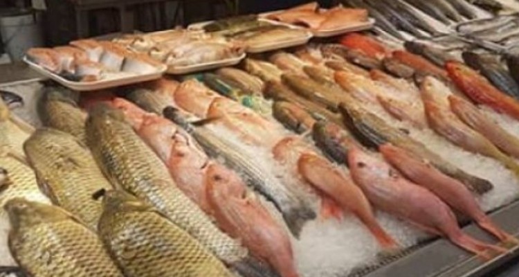 کرمانشاه درصدد افزایش ارزش‌افزوده محصولات آبزی است